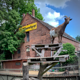 Tonenburg - tierich gut Tonenburg - tierich gut